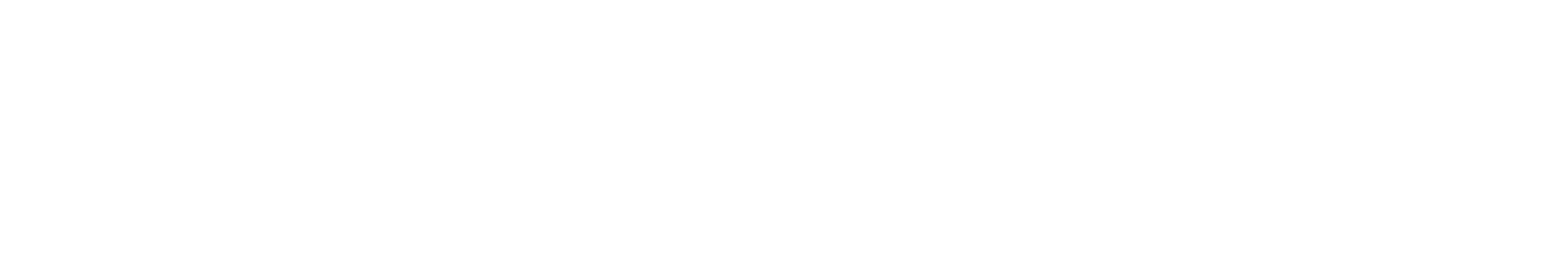 miniiMAG